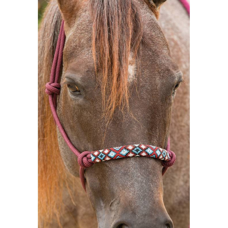 American Heritage Equine  5/16 BROWN Rope Halter - 6 PACK #400-281