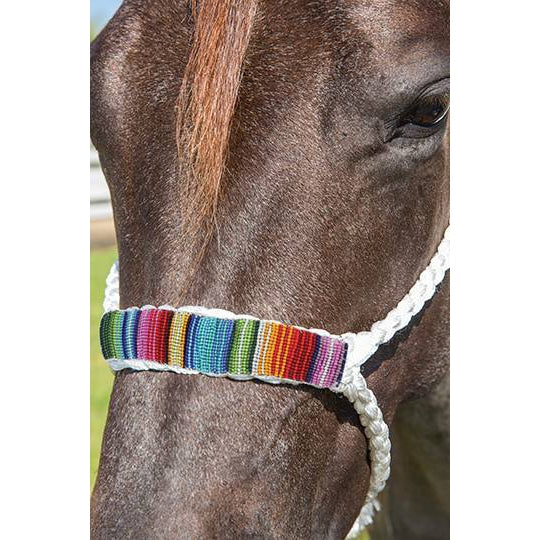 Professional's Choice Cowboy Braided Rope Halter 10' Lead - Assorted Colours