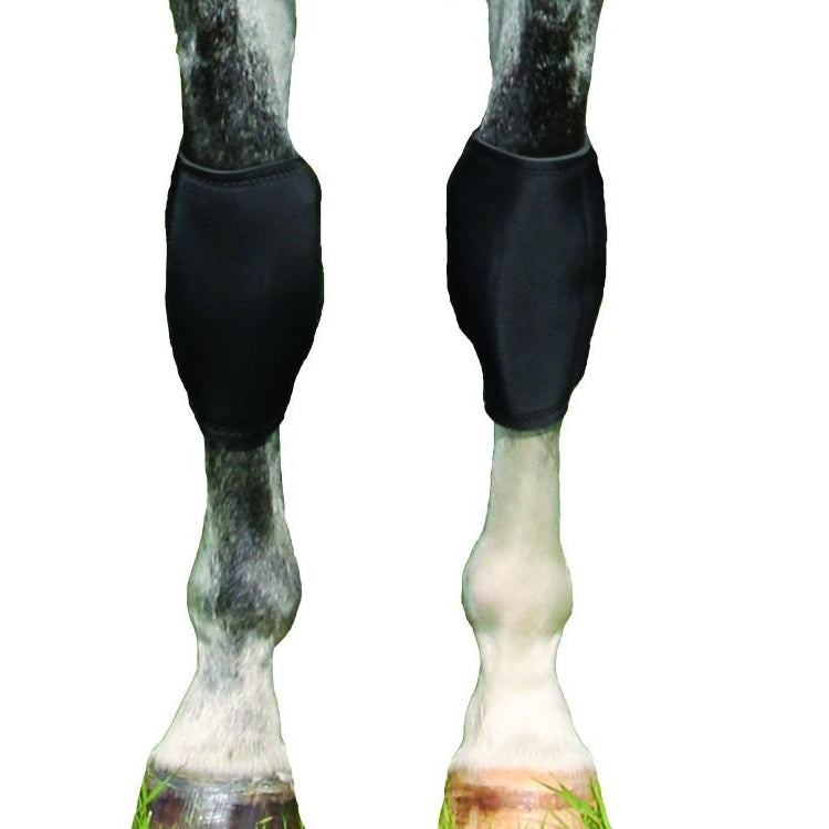 Back on Track Knee Boots (Pair)